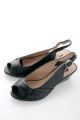 2011 Autumn Winter Collection
